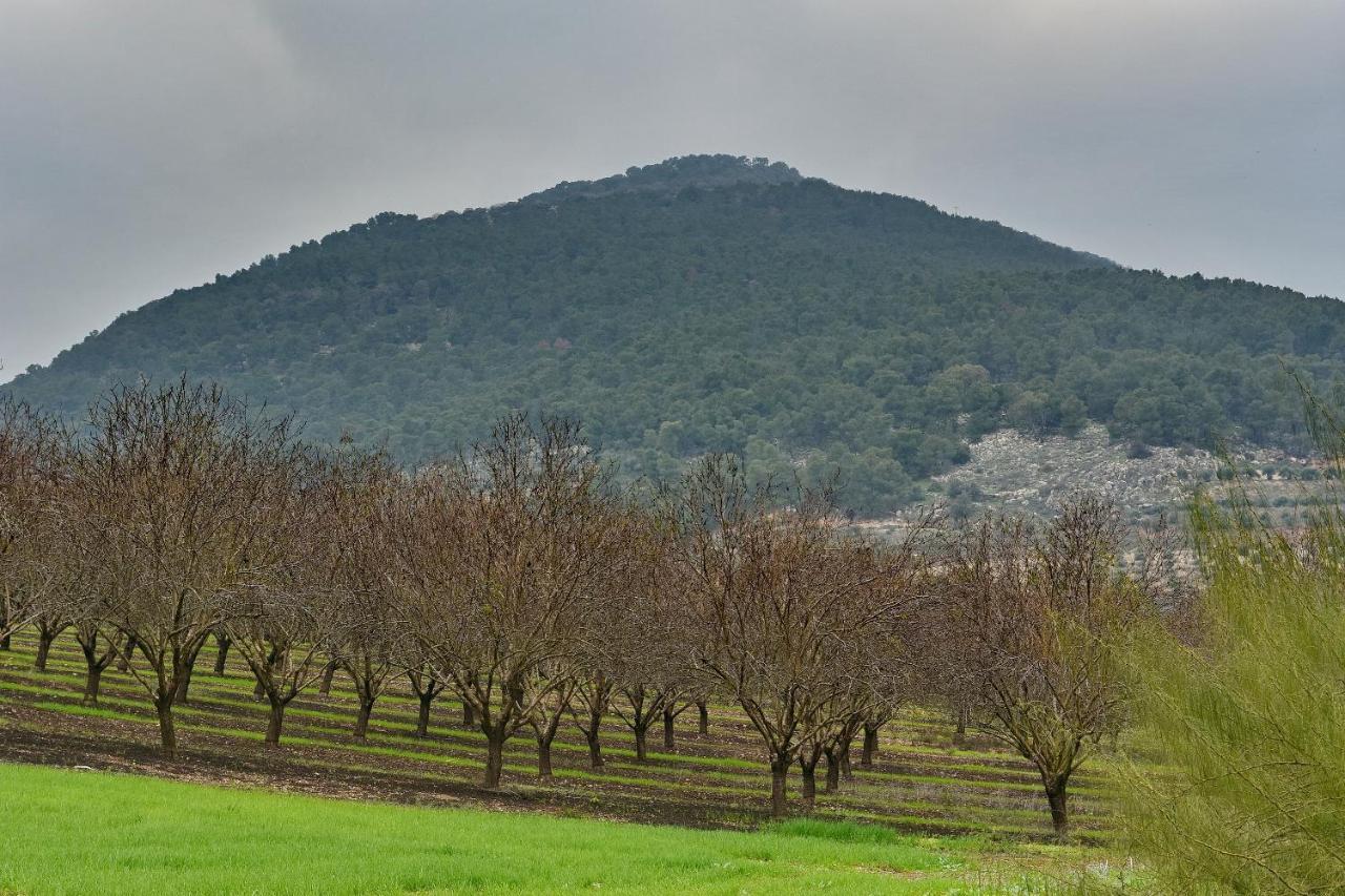 Pearl Of The Valley Hotel Kfar Tavor Luaran gambar