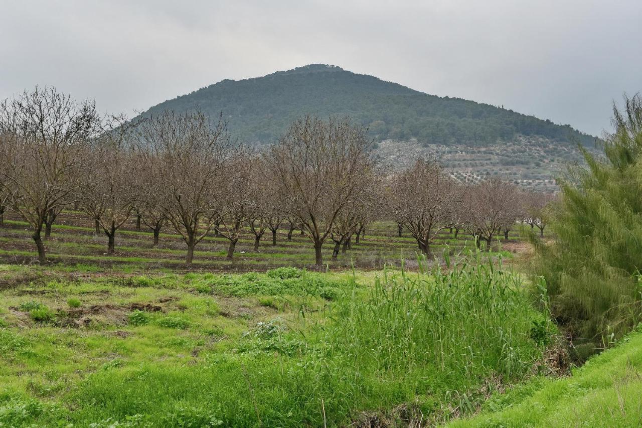 Pearl Of The Valley Hotel Kfar Tavor Luaran gambar